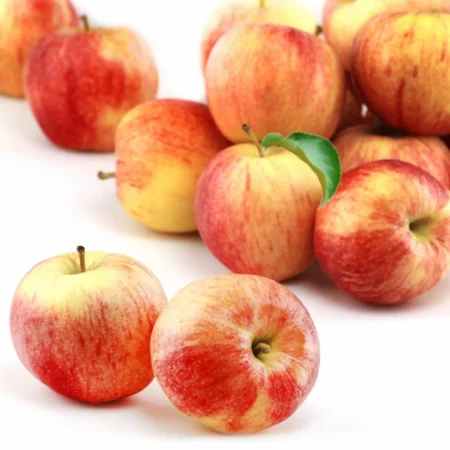 Pommes Gala le sachet de 2Kg