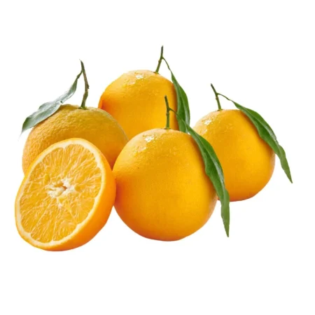 Oranges à feuilles vrac le kilo